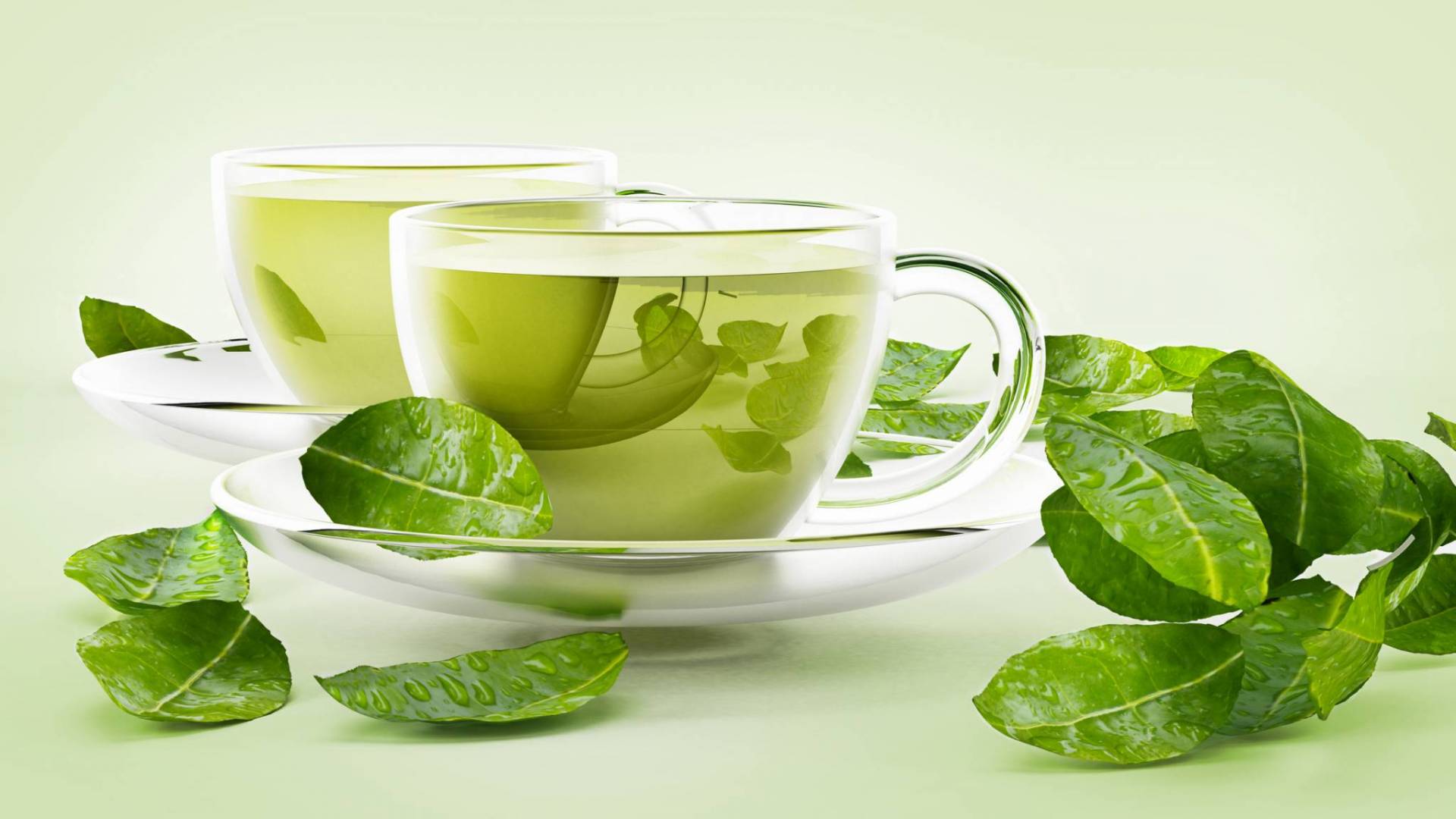 أنواع من الشاي لتخفيف أعراض الربو