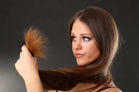 علاجات سريعة لمحاربة تلف الشعر