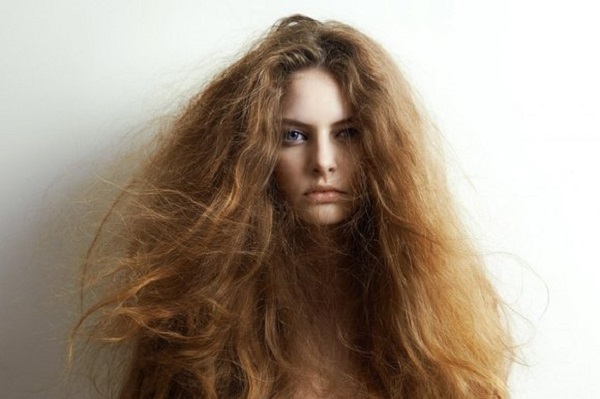 تنعيم الشعر الخشن قبل رأس السنة بخلطة طبيعية قوية