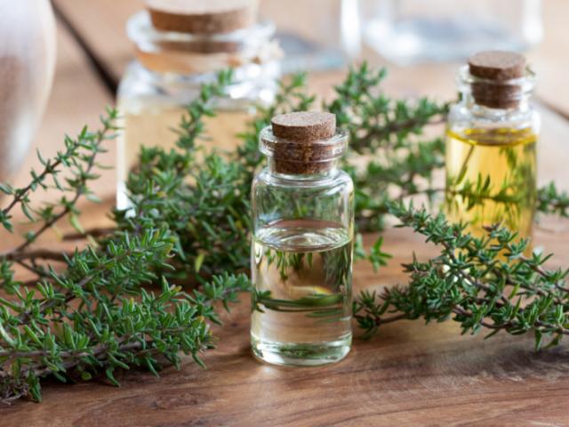 Benefits of thyme for the skin