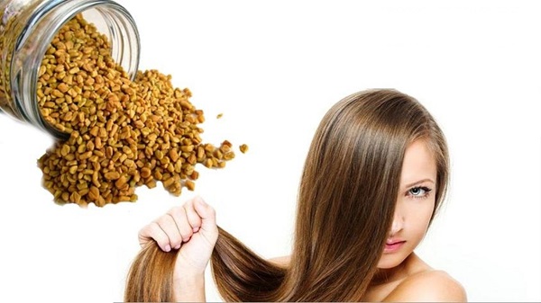 وصفة الحلبة لعلاج مشاكل الشعر