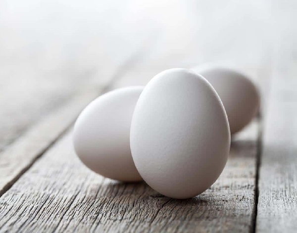 white-egg-layer