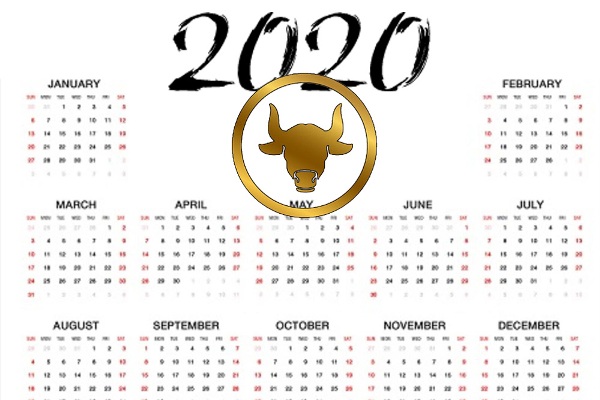 التوقعات الشهرية لبرج الثور 2020